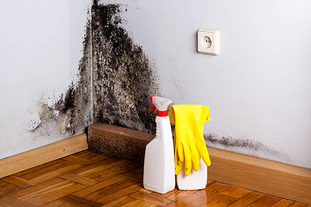 Professional Water damage restoration in Lorton, VA